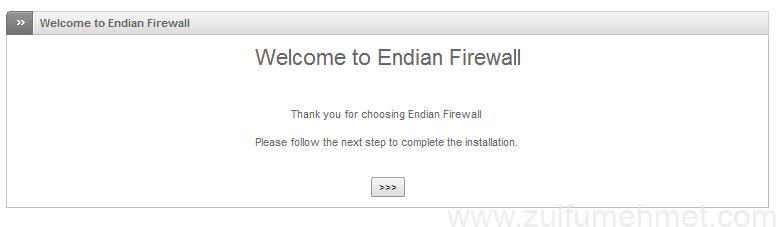 endian firewall kurulum ve yapılanması